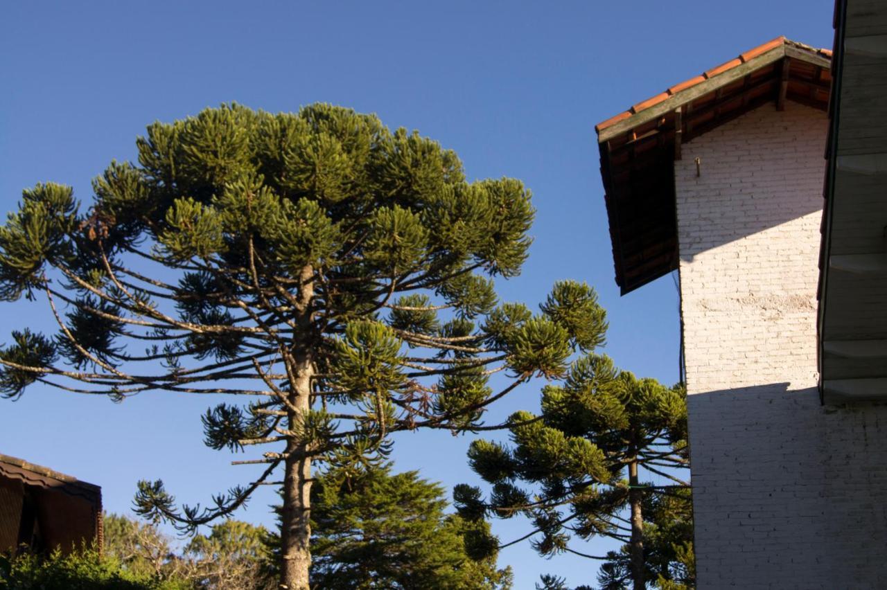 Pousada Locanda Belvedere Monte Verde  Zewnętrze zdjęcie